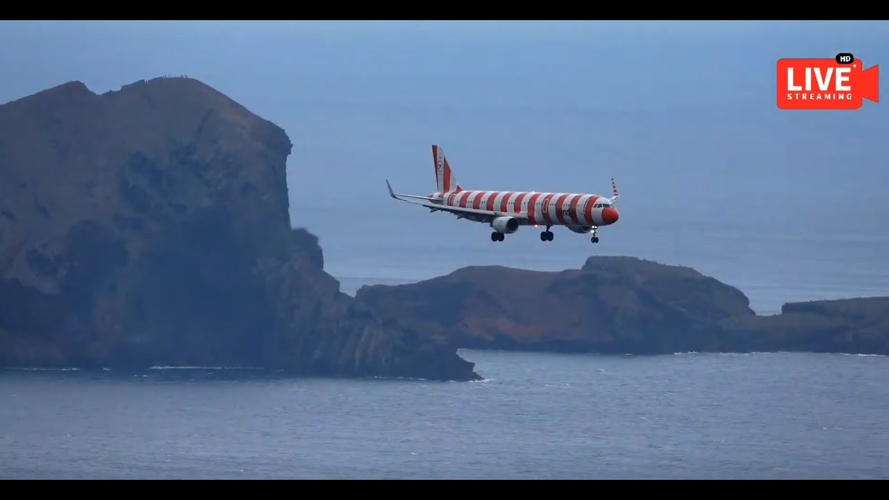 Madeira Airport Live Action LPMA Spotter ✈️ 21/11/2024