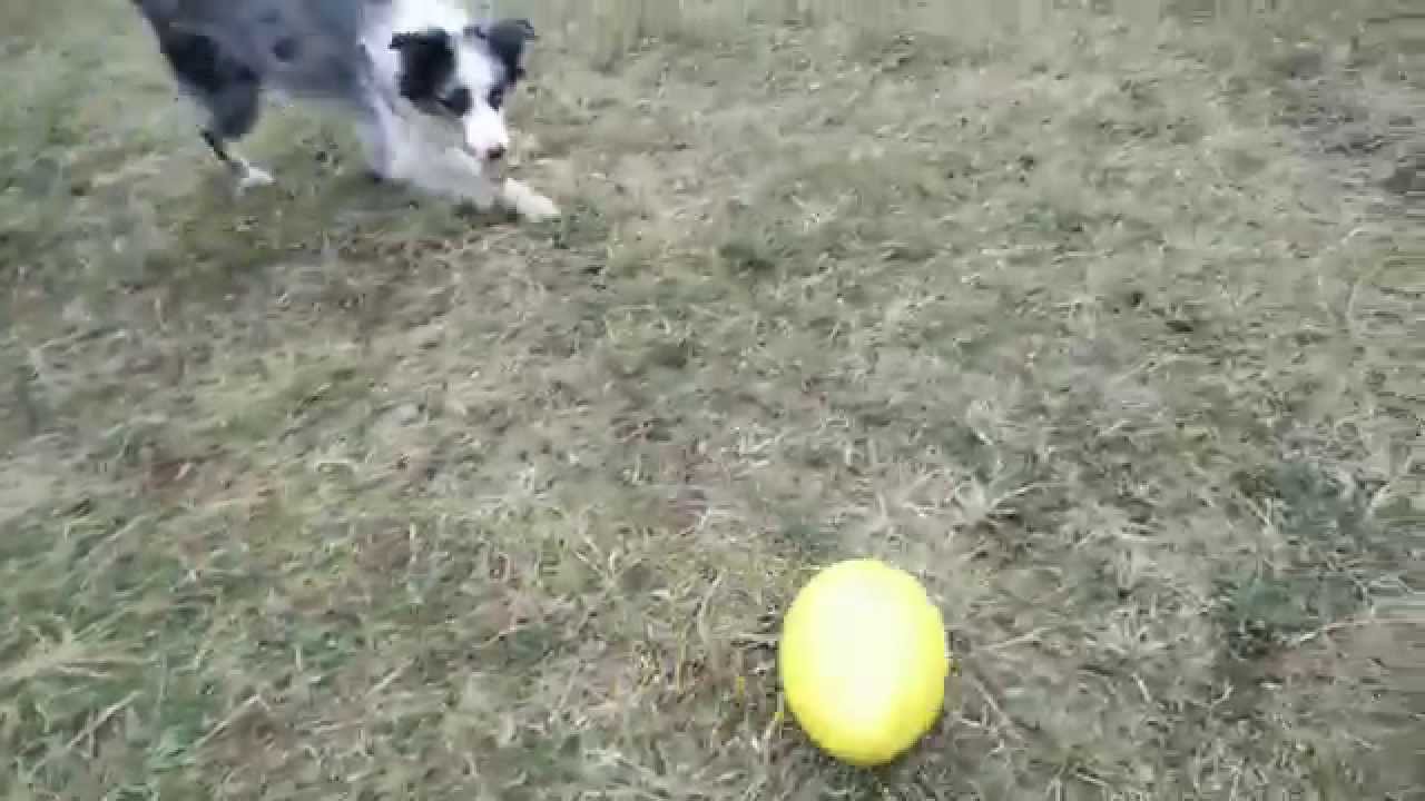 Fun with Running Egg!