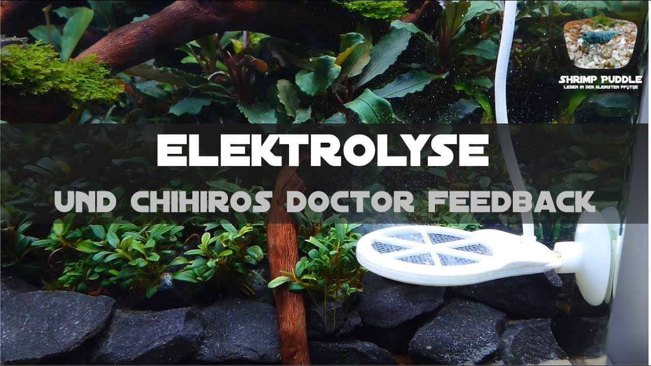 ELEKTROLYSEGERÄTE  / CHIHIROS DOCTOR FEEDBACK