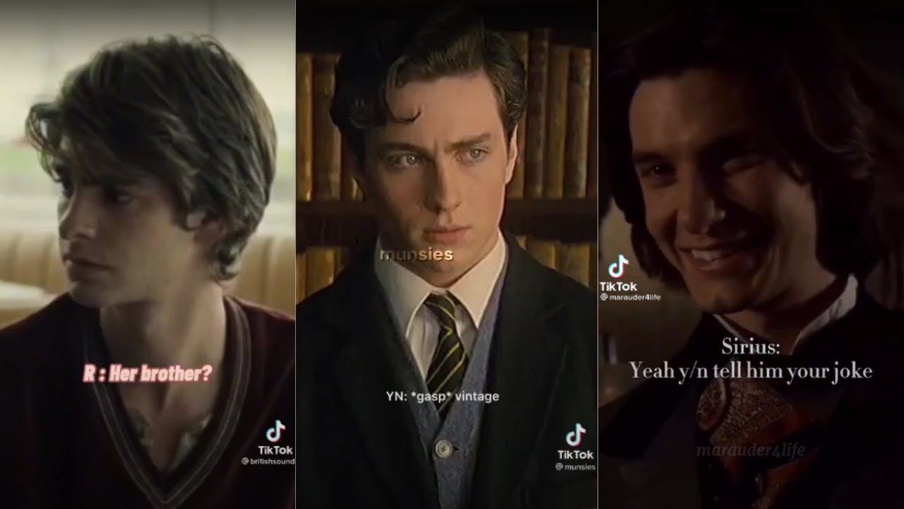 The Marauders x Y/N POVs