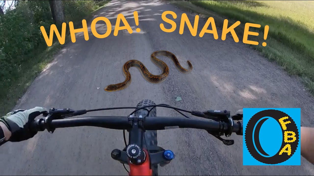 Whoa Snake! - Fat Biking - High Line Canal Trail - Denver, CO