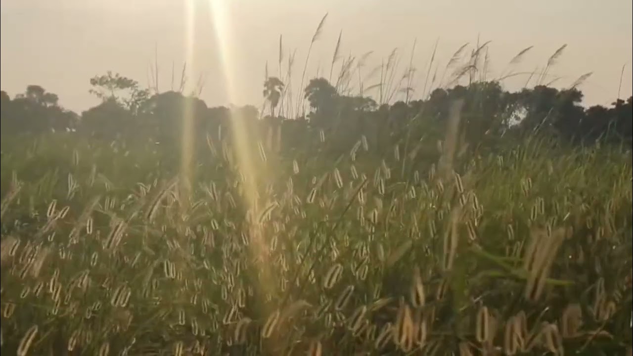 Nature’s goodbye kiss 🌅#subscribe #like #comment #share 