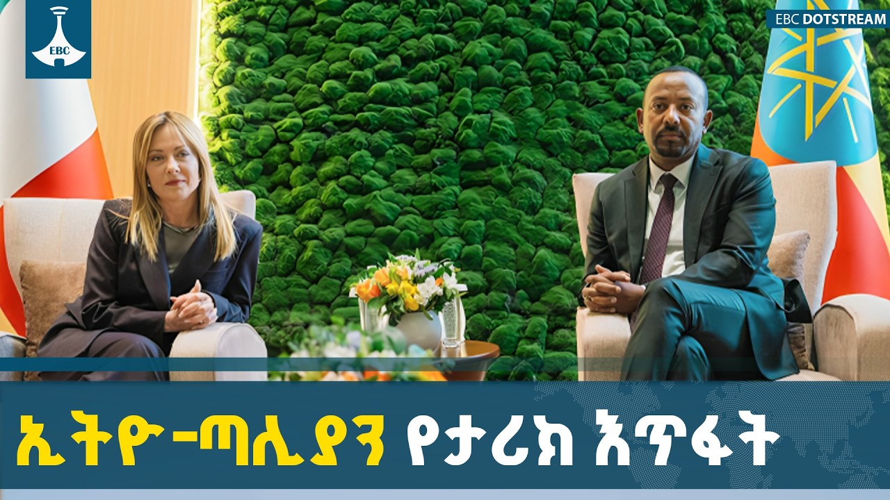 የጣሊያን-አፍሪካ ስብሰባ በአዲስ አበባ መካሄዱ የታሪክ እጥፋት መሆኑን ተንታኞች ገለጹ | Ethiopia-Italy | Diplomacy | Strategic Hub