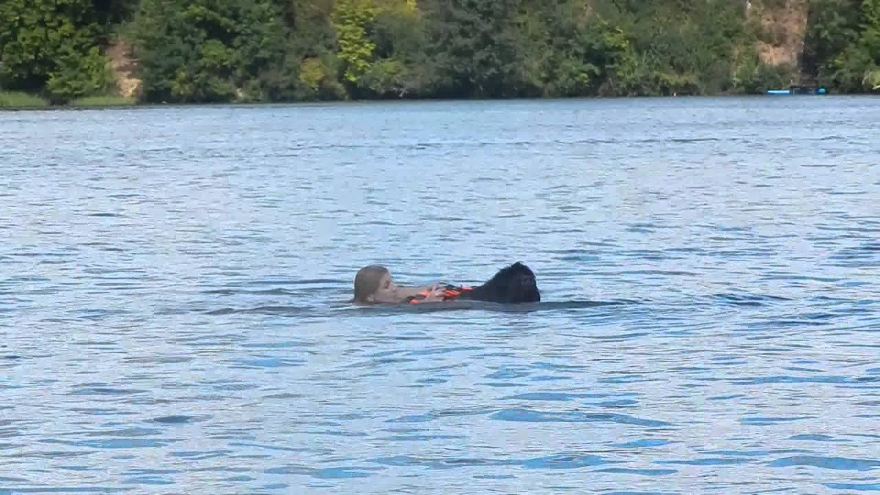 MICHAEL pies ratownik w akcji