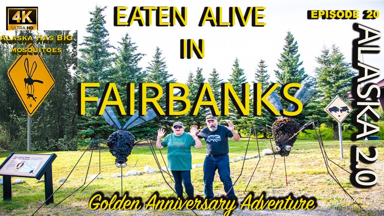 * Ep20 RV Adventure from Delta Junction to Fairbanks Alaska | Campgrounds, Attractions & History