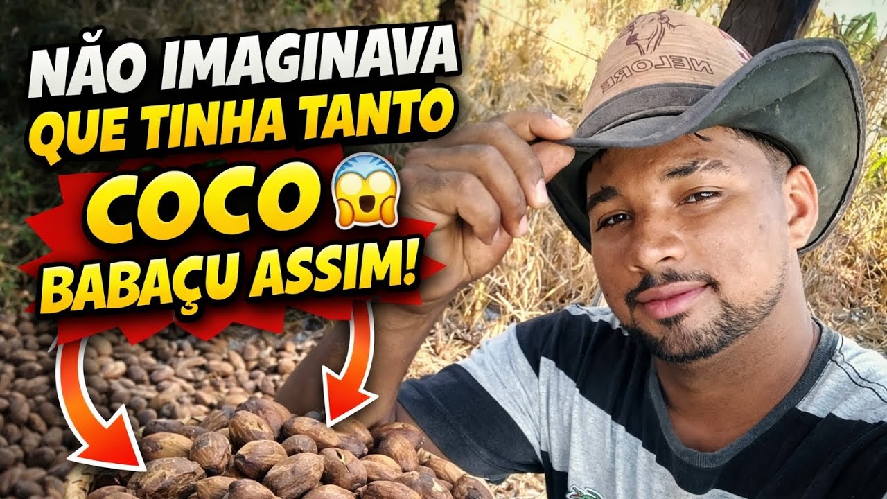 #CocoBabacu#VidaNaRoca#ZonaRural#Natureza#InteriorDoBrasil#TrabalhoNoCampo#RotinaDaRoca#ConteudoRaiz