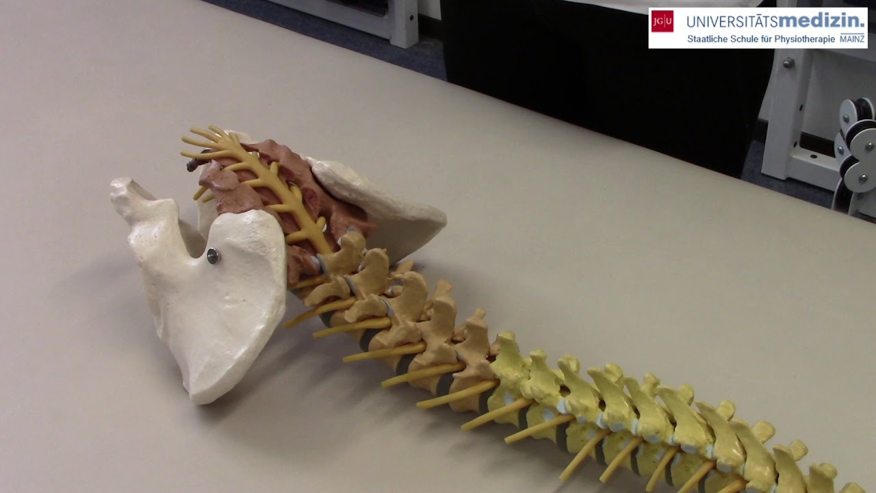 LWS - Springing-Test