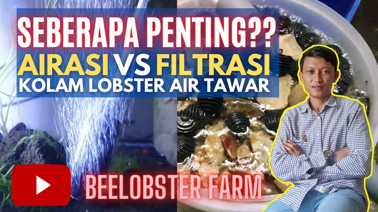 SISTEM AIRASI DAN FILTRASI KOLAM LOBSTER AIR TAWAR