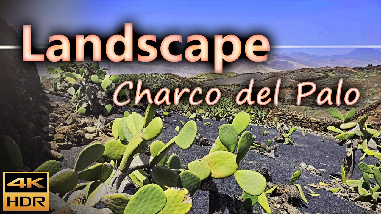 Impressive landscape around Charco del Palo / Lanzarote, Spain / 4K HDR