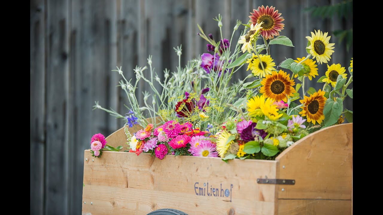 Bio-Blumen vom Emilienhof