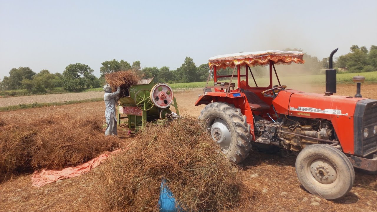 ursus 2812 tractor ki threesher per berseem ko nikaltay howay very good  performance in punjab pk