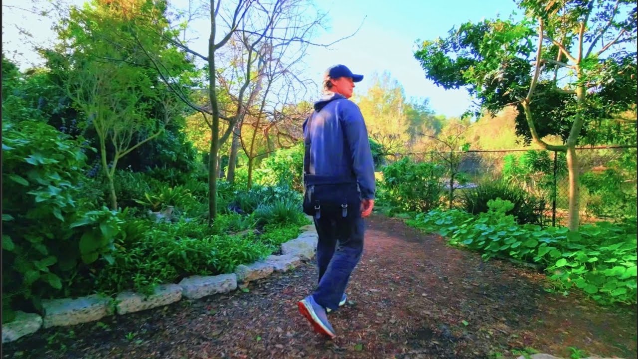 S5/E8 • Hidden Gems at Huntington Central Park