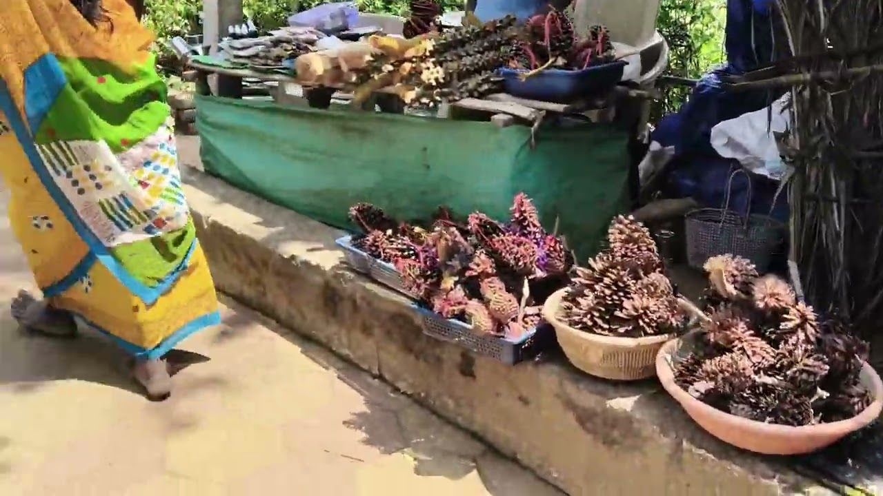 நாமக்கல் மாவட்டம் கொல்லிமலை எட்டுக்கை அம்மன் கோவில் நம்ம அருவி 