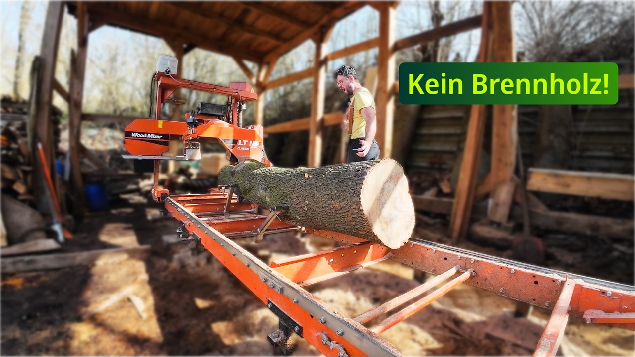 Vom Brennholz zum Traumholz: Die spektakul&auml;re Maserung im Spitzahorn!
