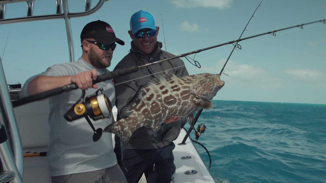 PENN Spinfisher VI Spinning Reel Product Video