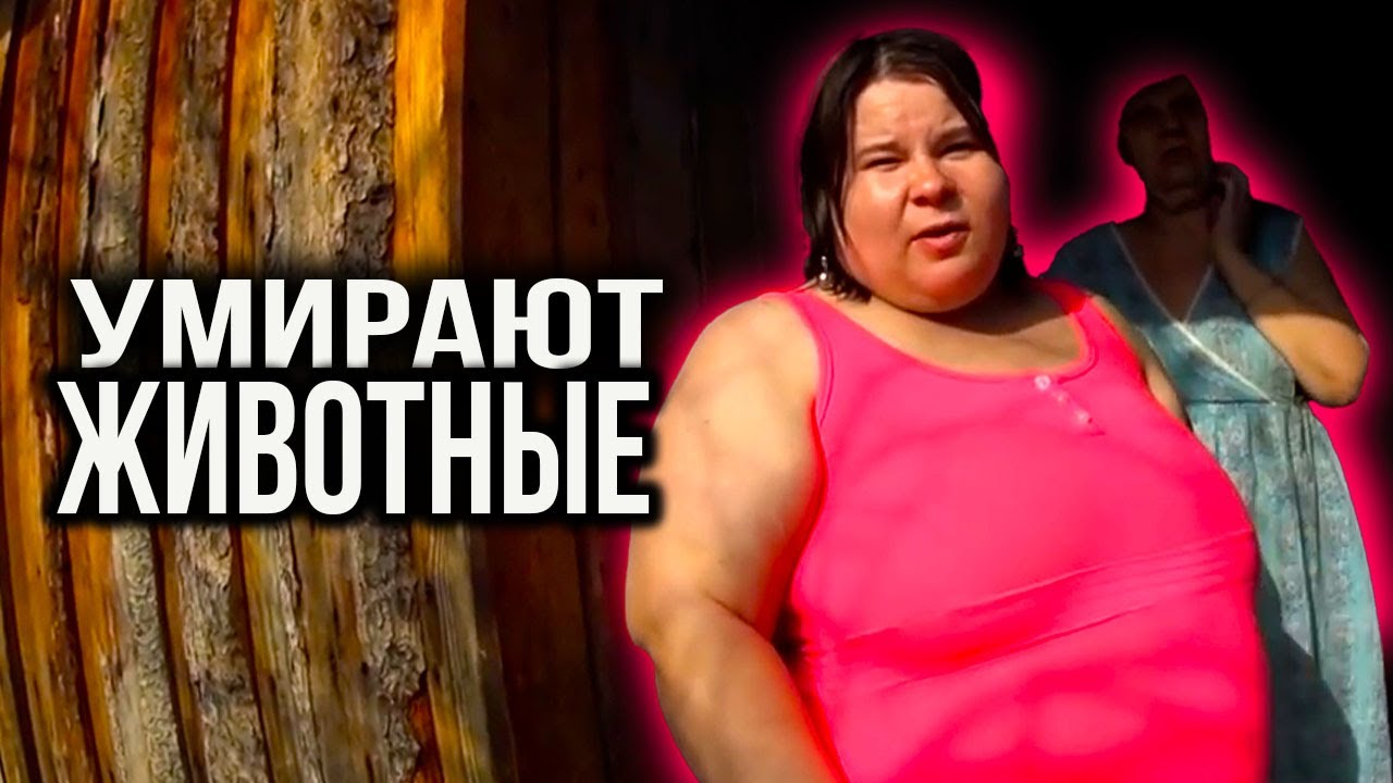 УЖАС. УМИРАЮТ ЖИВОТНЫЕ. СОЙДУТ НА ДРОВА ДОСКИ ТРУХЛЯВЫЕ