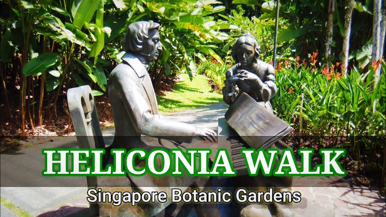Heliconia Walk @ Singapore Botanic Gardens | Just Walk No Talk ASMR #travel