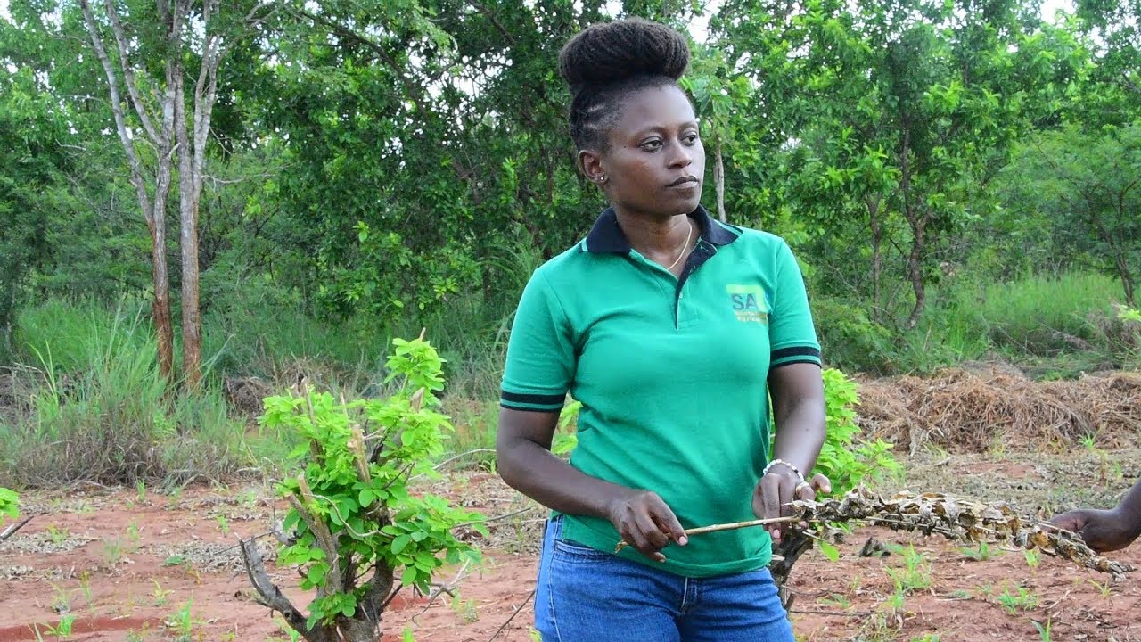 BINTI AWEKEZA BILLION 4 KWENYE SHAMBA LA EKARI 600 