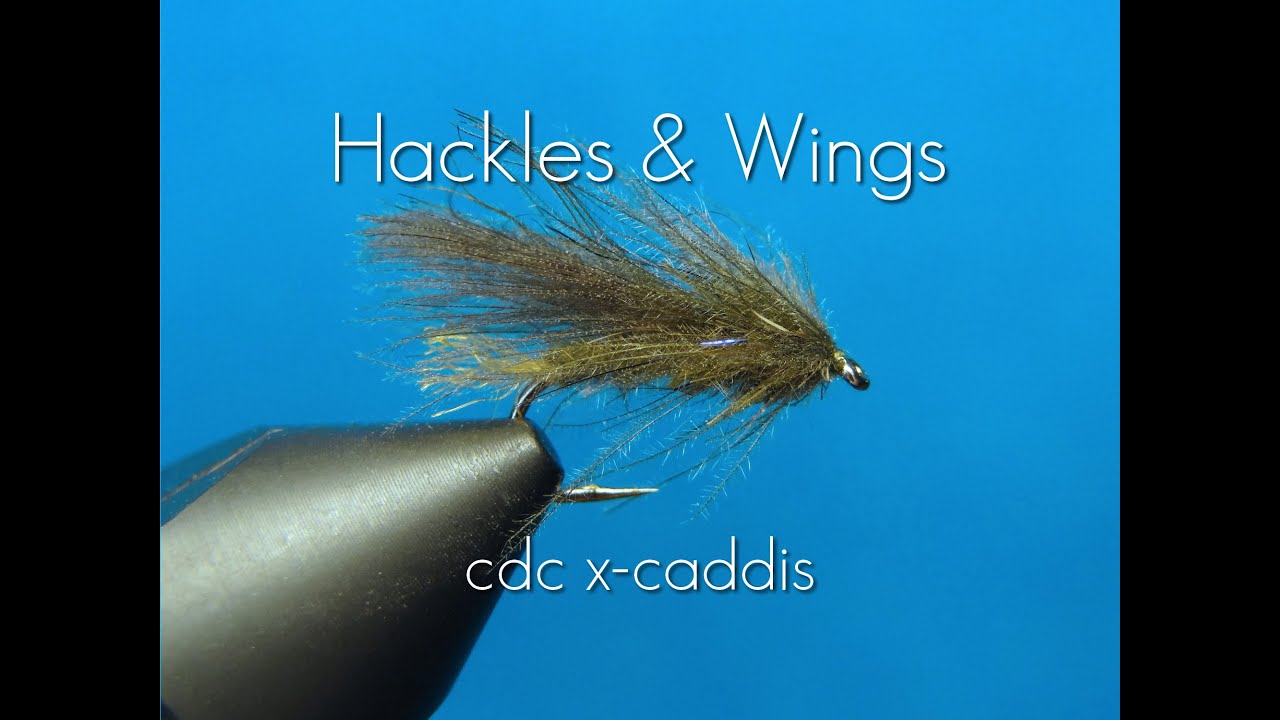 Fly Tying Cdc X-Caddis | Hackles & Wings