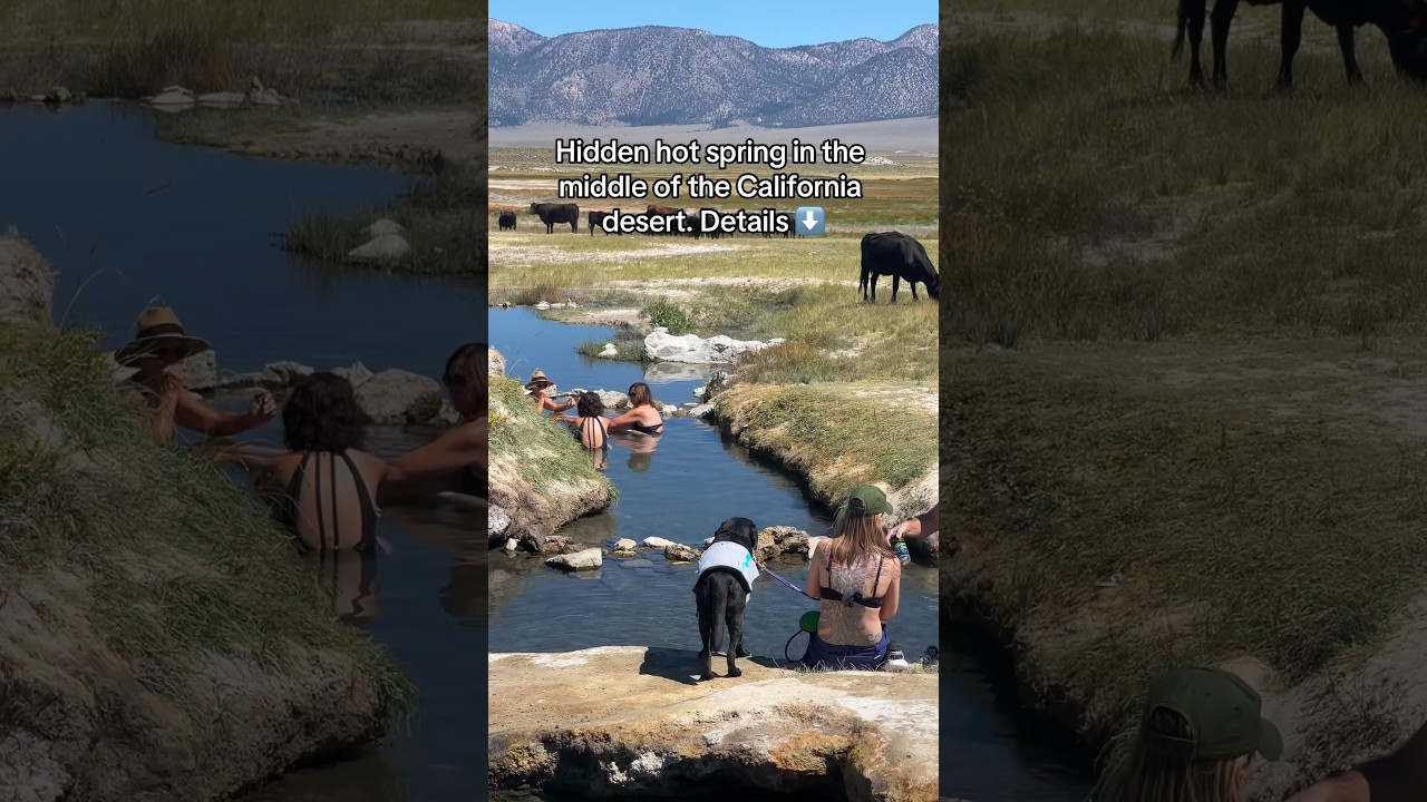 Hidden hot spring in the middle of the California desert 🌵￼