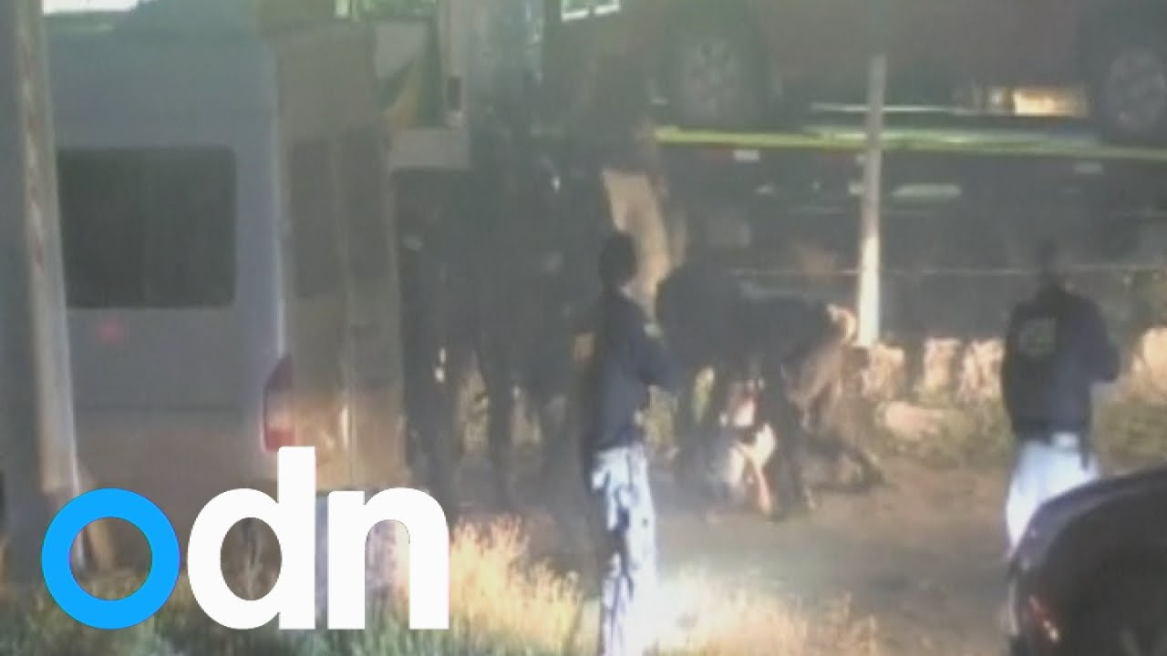 Dramatic drugs raid recovers tonnes of cocaine and marijuana in Chile