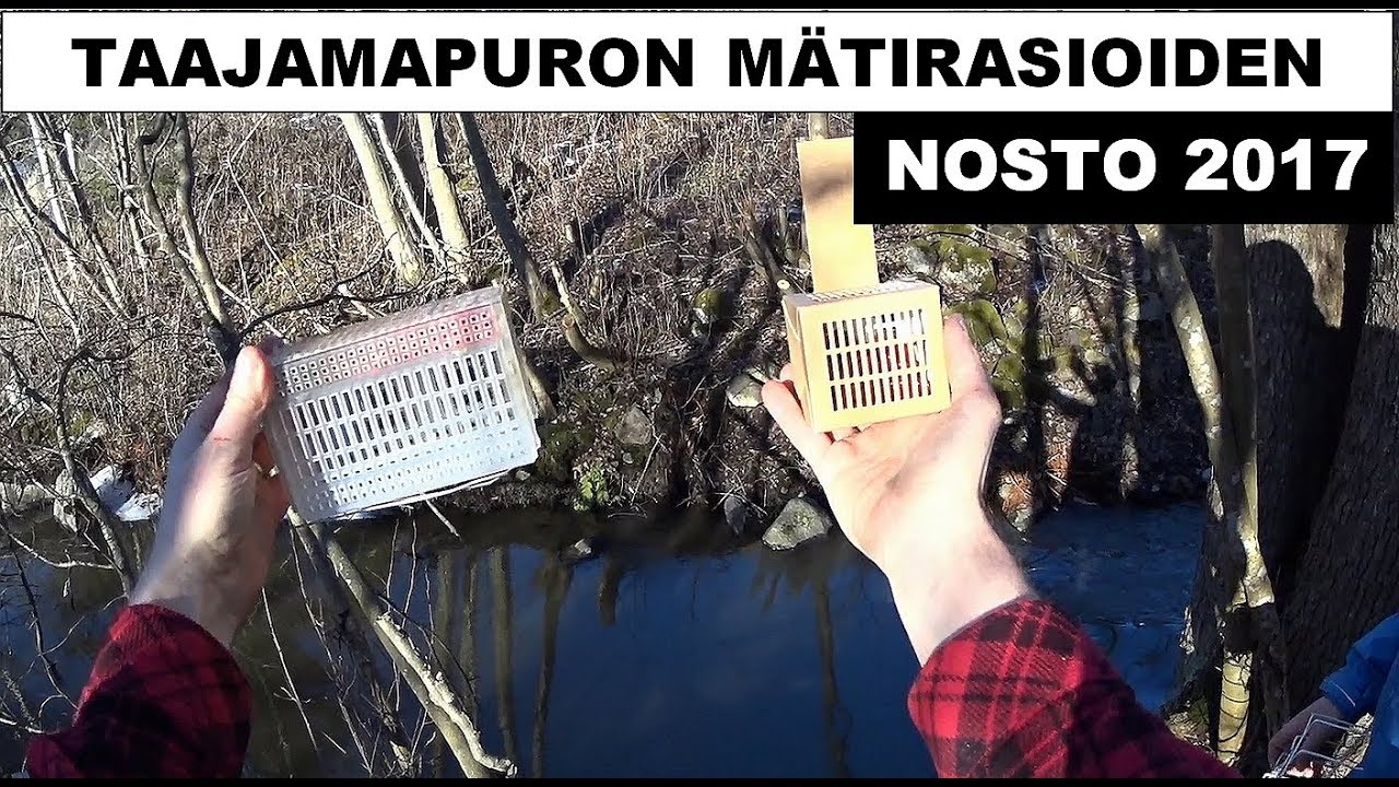Ylöjärven taajamapuron mätirasioiden nosto 2017
