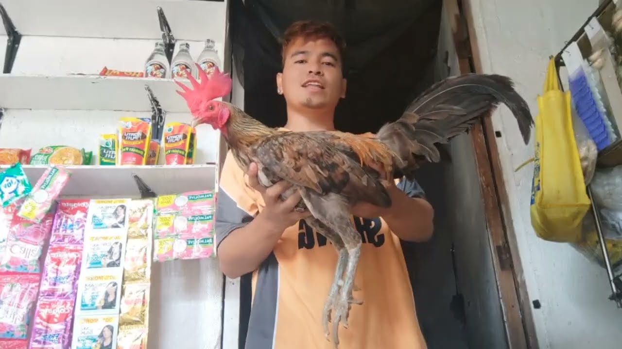BENABAE OR HENNIE