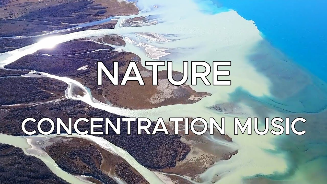 Piano Concentration Music for Meditation | Relaxing Nature Video | Music by Newsense Studio
