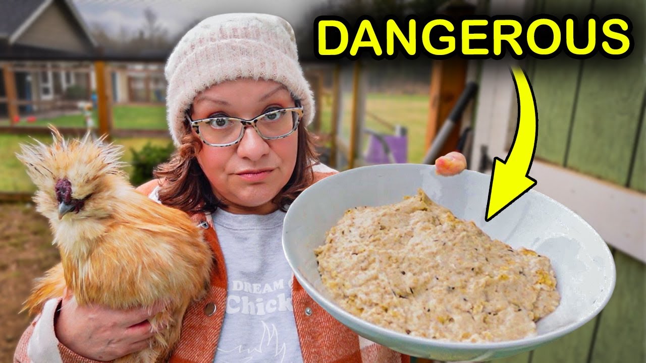 We've Been WARNED Not to Feed THIS to Chickens