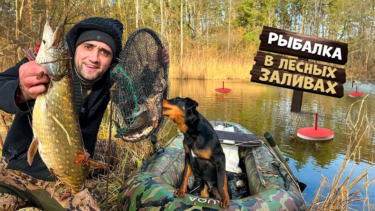 Рыбалка в лесных заливах! Поставил кружки и верши и офигел