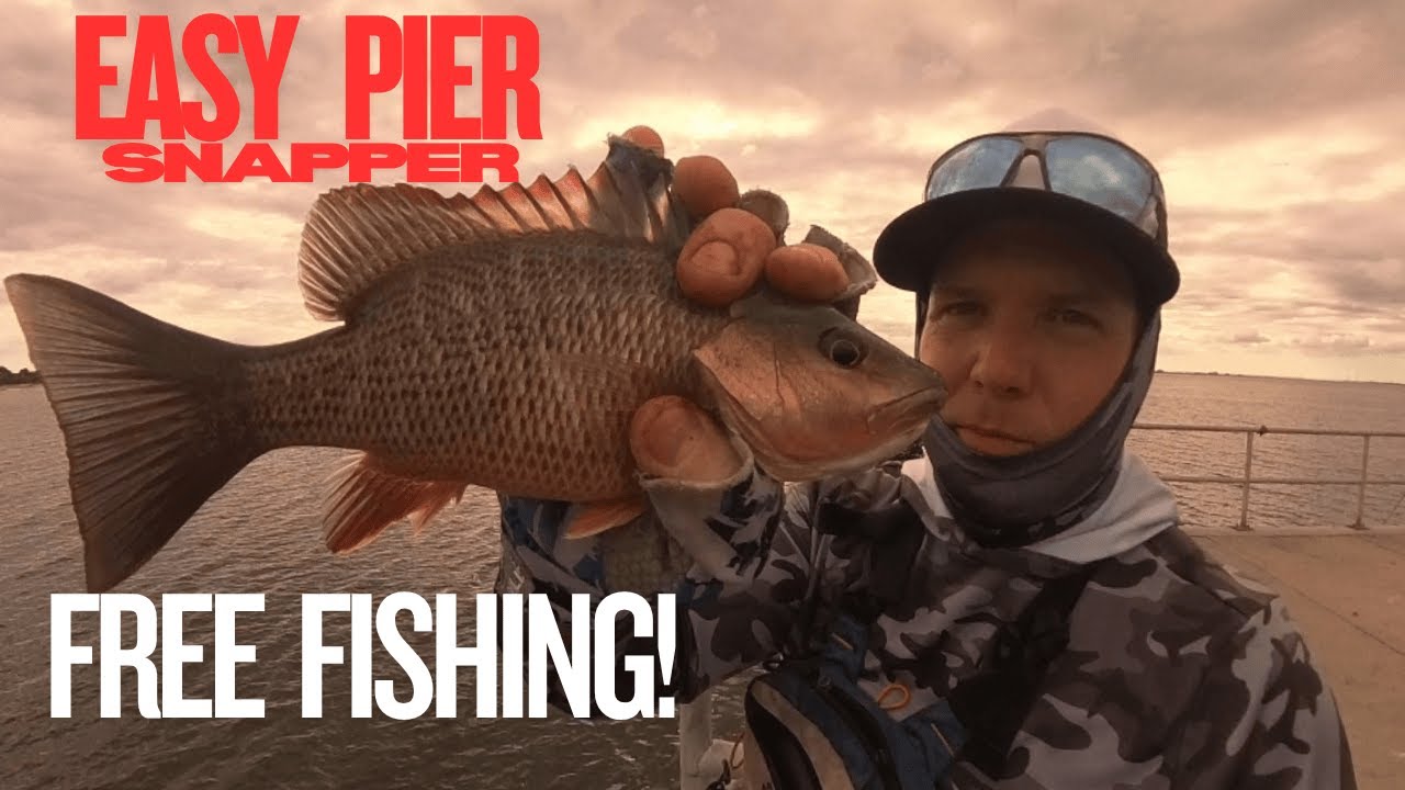 Fish HERE For FREE! Easy Public Fishing Pier #saltwaterfishing #fishing #snapper #floridafishing