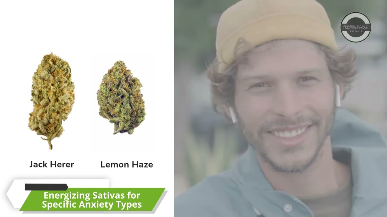 Best Medical Marijuana Strains for Anxiety Relief in Maryland