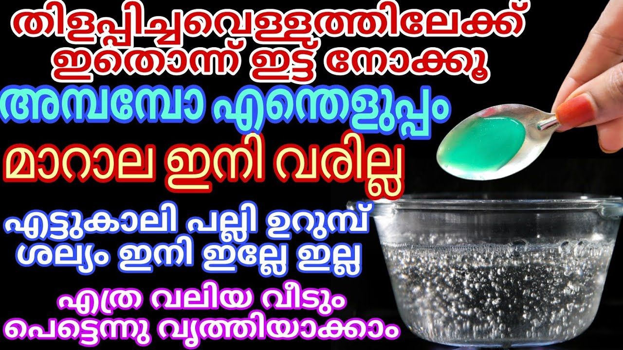 ഇതൊരു തുള്ളി മതി മാറാല പല്ലി ശല്യം പൂർണമായും ഇല്ലാതാക്കാൻ Easy Cleaning Hacks Amazing Kitchen Tips