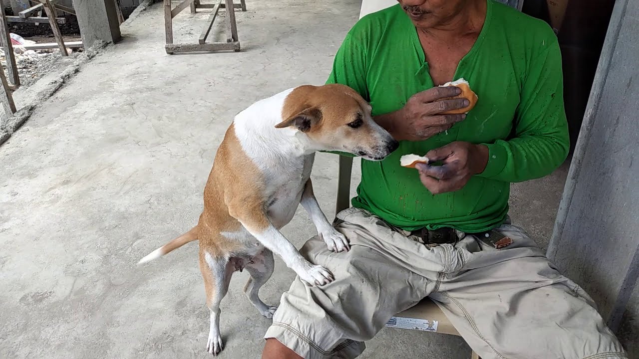 MIRYENDA TIME! // Gloria24 Tv