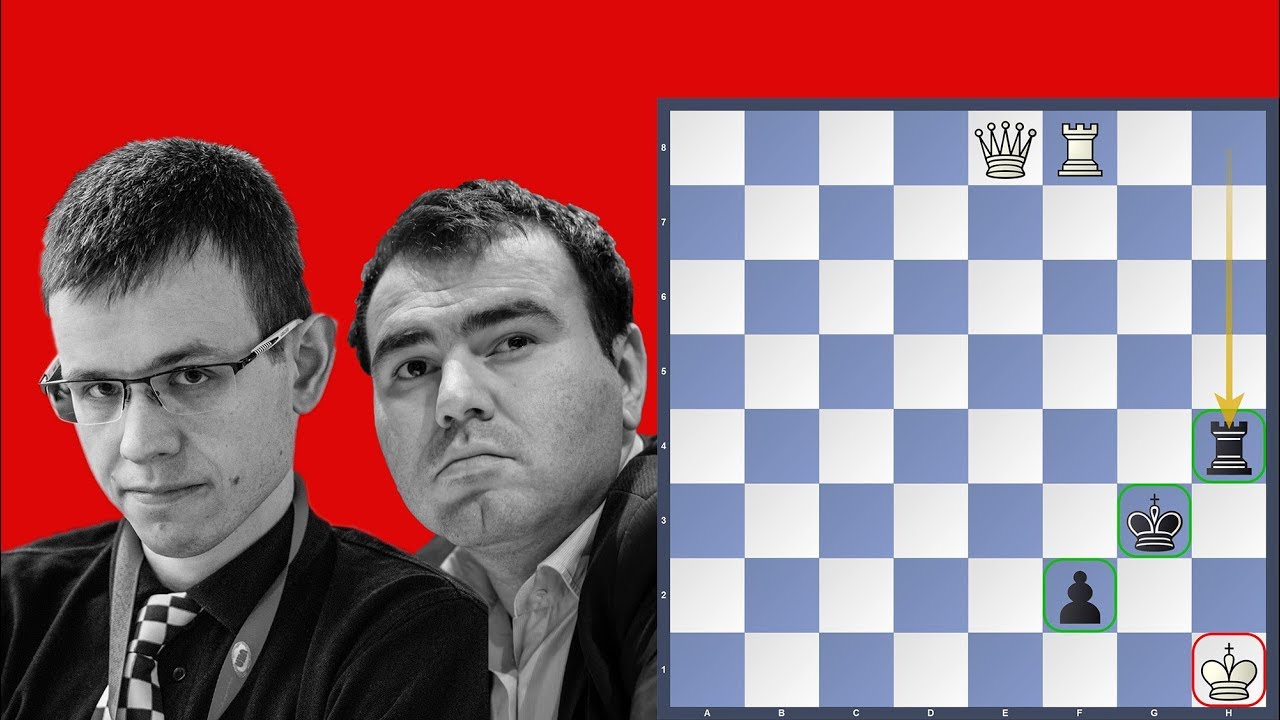 Checkmate in the rook endgame - Mamedyarov vs Navara  | Shamkir Chess 2019