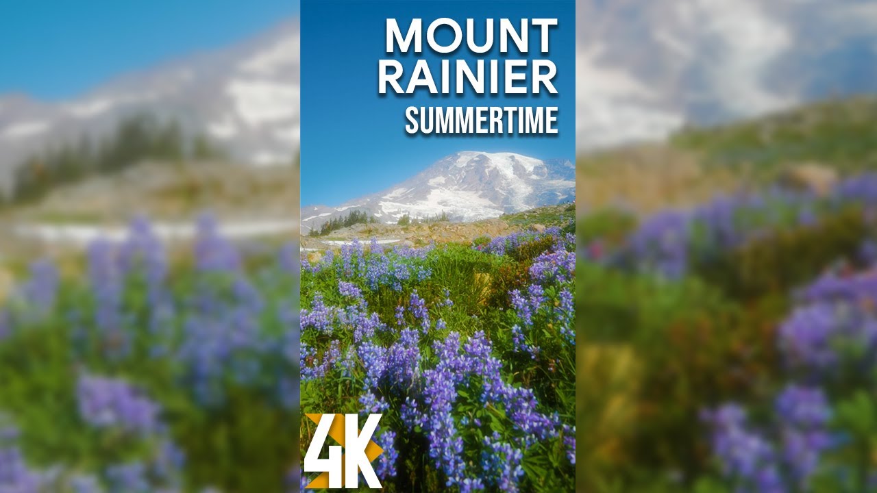 2HRS Relaxing Scenery + Nature Sounds for Tablets and iPhones - 4K Summer Day at Mount Rainier