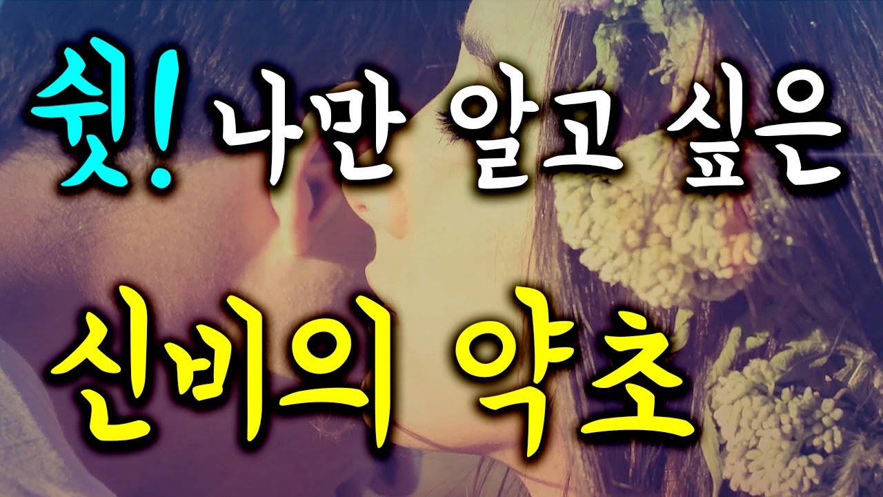 고대 아유르베다의 신성한 약초 ‘홀리 바질'