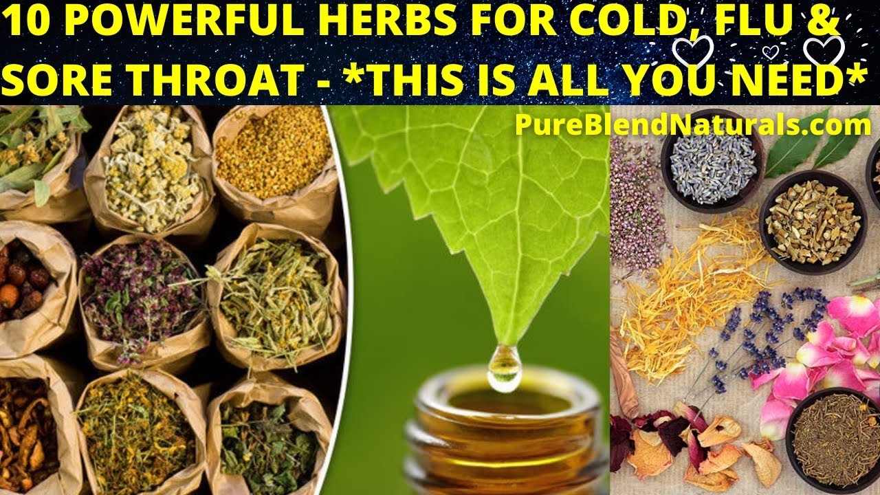 10 BEST MEDICINAL HERBS FOR COLD, FLU AND SORE THROAT WITH USAGE INSTRUCTION