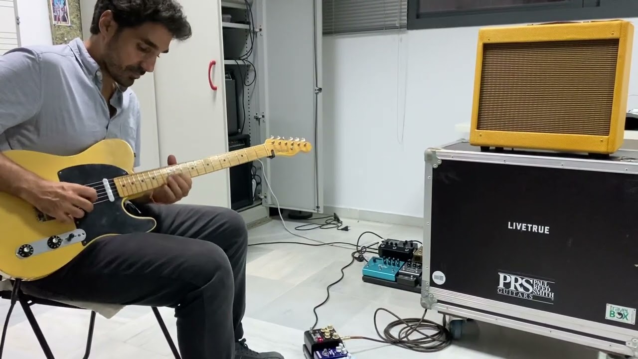 Fender Tweed Princeton 5F2-A (réplica)