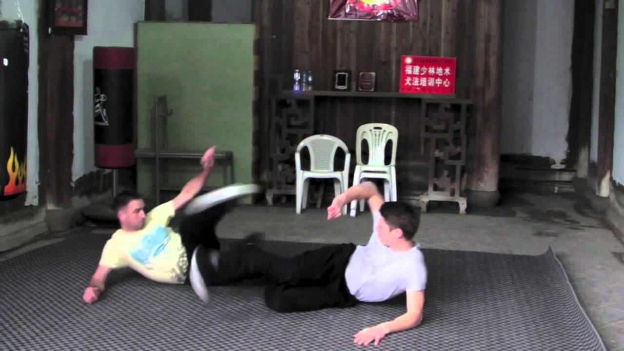 Grand Master Chen Yijiu, Home of dog boxing