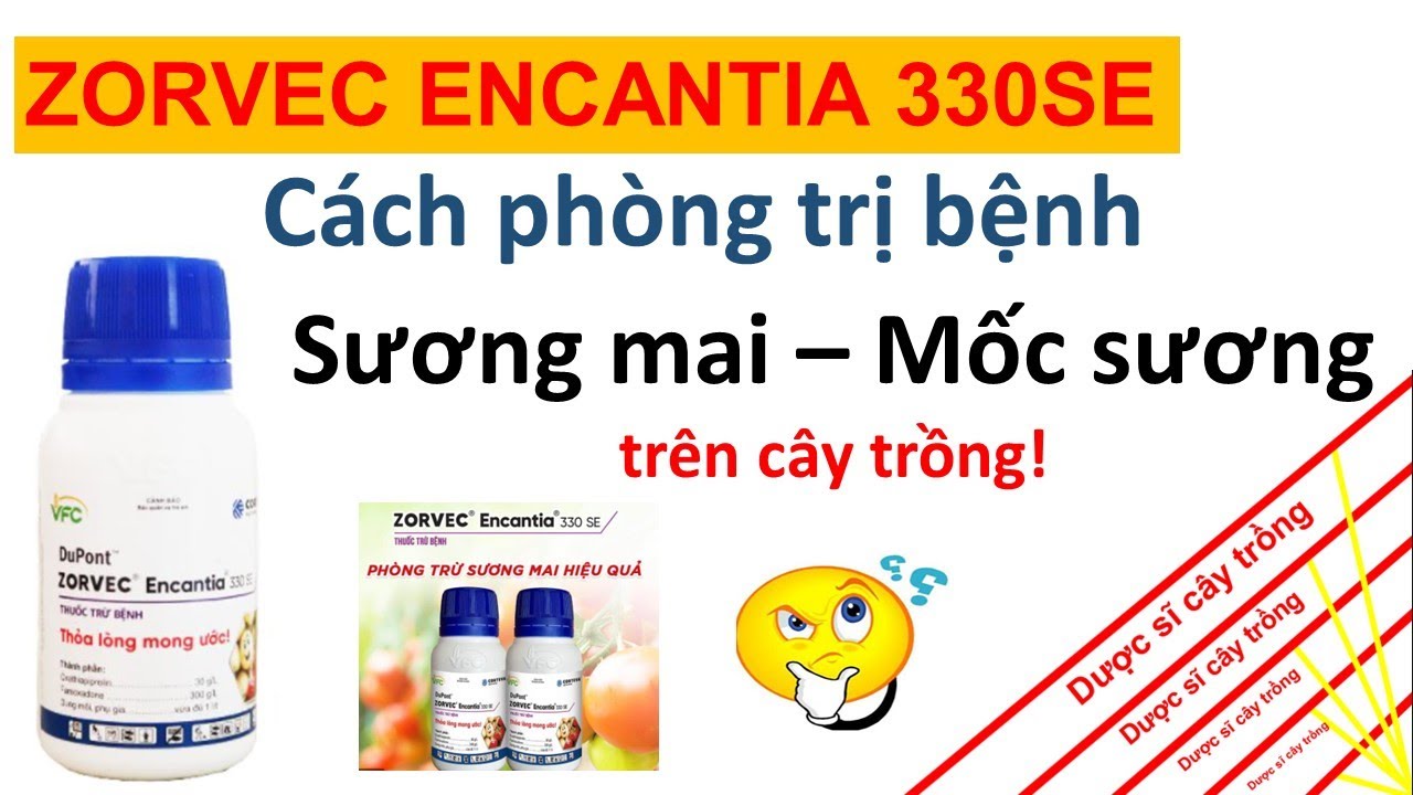 Zorvec encantia 330SE đặc trị bệnh sương mai và mốc sương trên cây trồng | rau màu