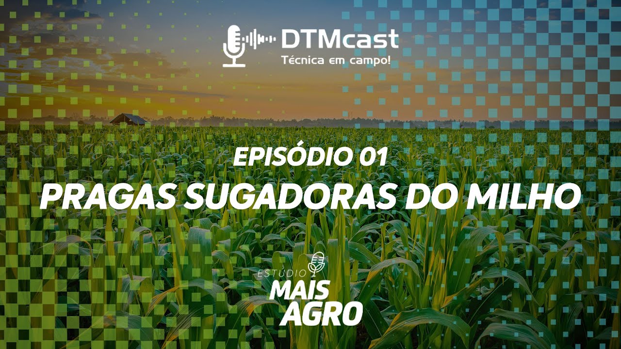 Manejo e controle de pragas sugadoras do Milho | DTMcast Ep.1