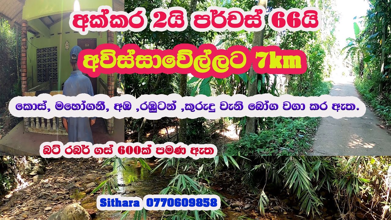 Land for sale in sri lanka/idam/ ලක්ෂ 48 ‍යි /අවිස්සාවේල්ලට 7KM