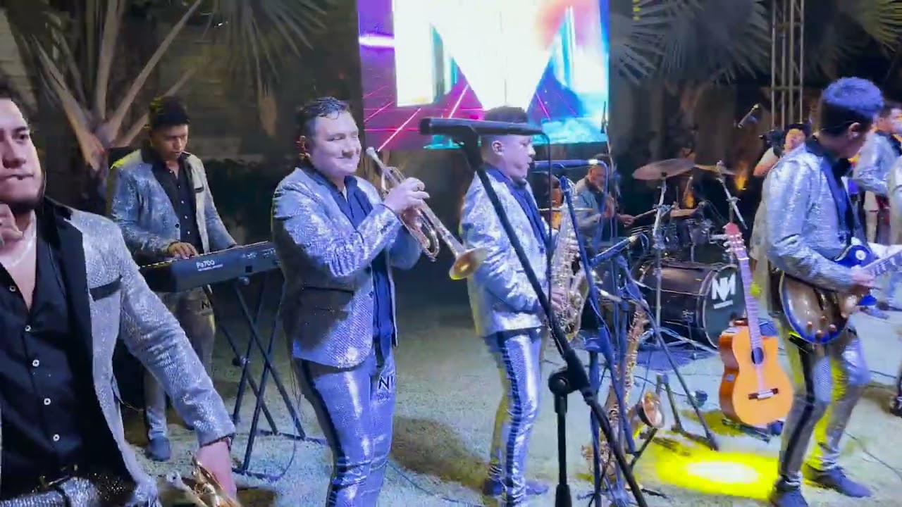 Popurrí de Sones: La malagueña curreña, el burro loco, El rumbero · Nemesys Los Reyes