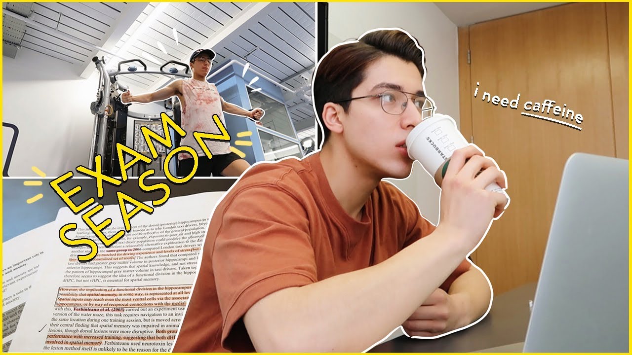 MED SCHOOL EXAM SEASON: 12 hour library day