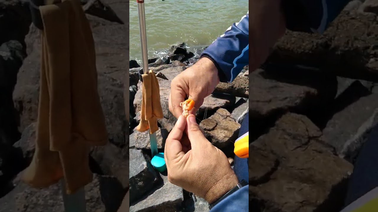 Casal na Pesca... Como iscar Corrupto.