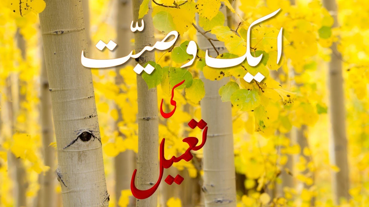 Lesson : Aik Wasiyyat ki Tameel ( ایک وصیت کی تعمیل ) Urdu Class 12 FBISE Islamabad ، KpK Boards