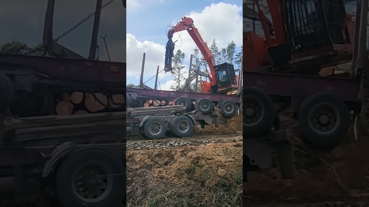 Watch an Entire Hectare Get Cleared Like This #logging #machinery #satisfying