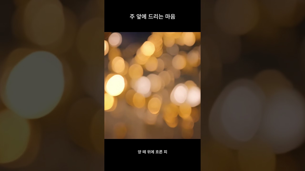 주 앞에 드리는 마음 - Lyra  #음악 #노래 #플레이리스트 #love #song #노래 #노래 #감성 #음악