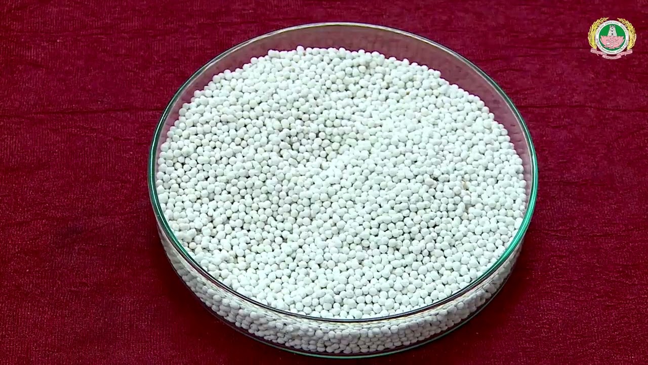 Seed coating